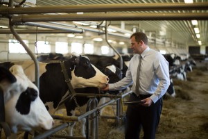 Dairy Farm Protection Insurance Program